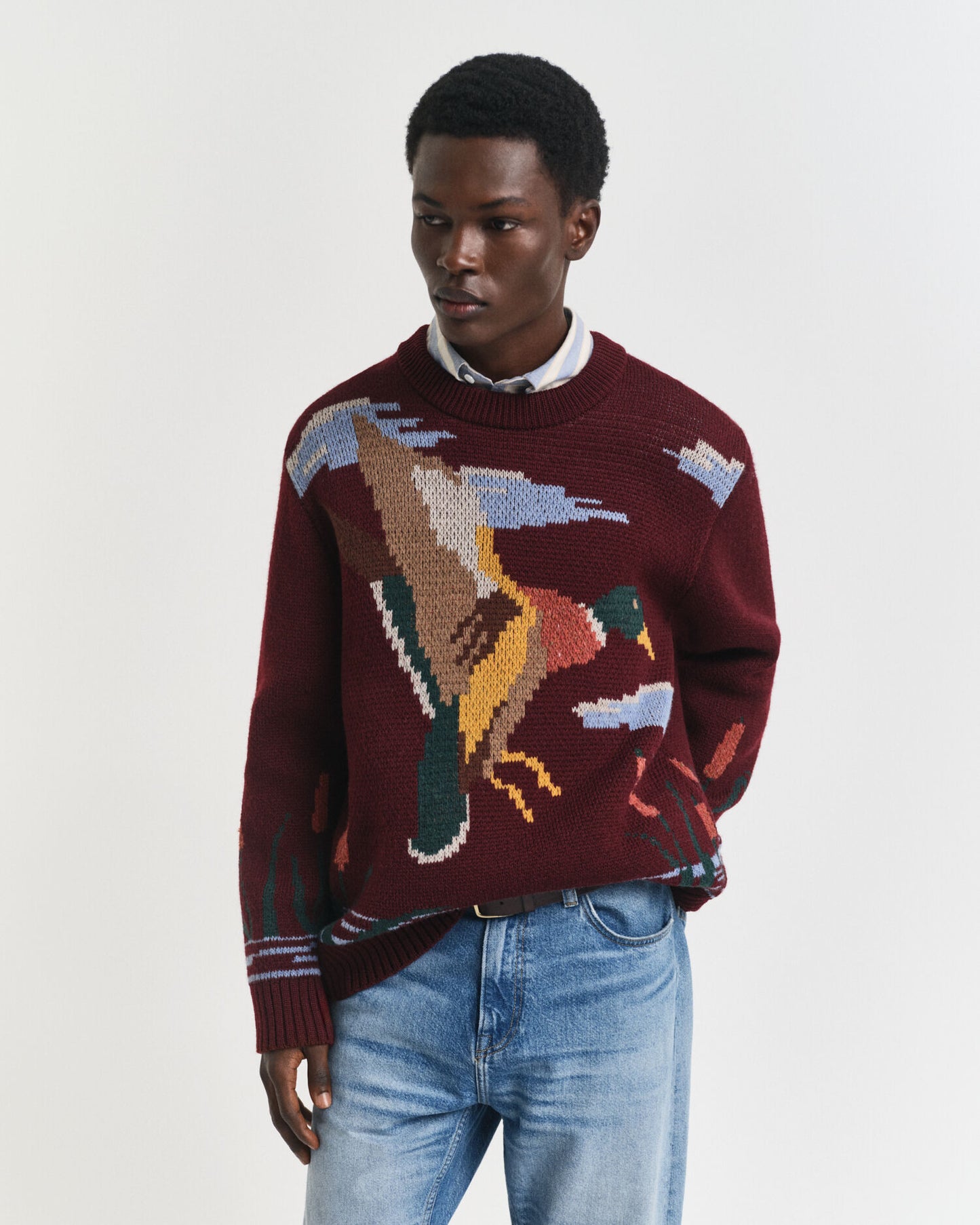 Pull ras du cou imprimé oiseau
