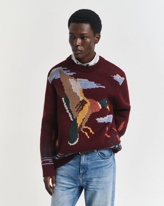 Pull ras du cou imprimé oiseau