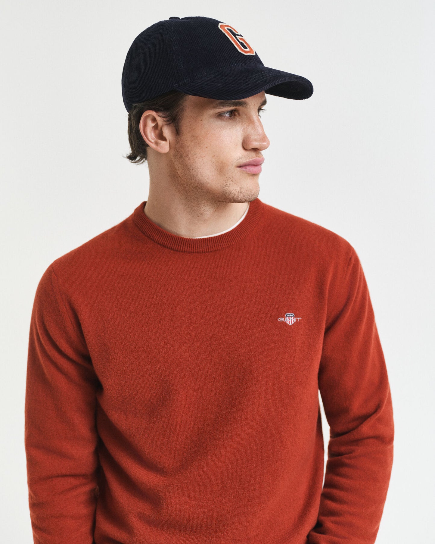 Pull ras du cou en laine d'agneau ultra-fine